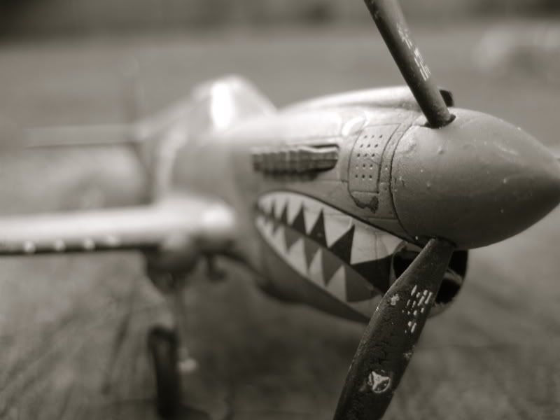 Curtiss P40M Warhawk [ACADEMY] 1/72 IMG_2357