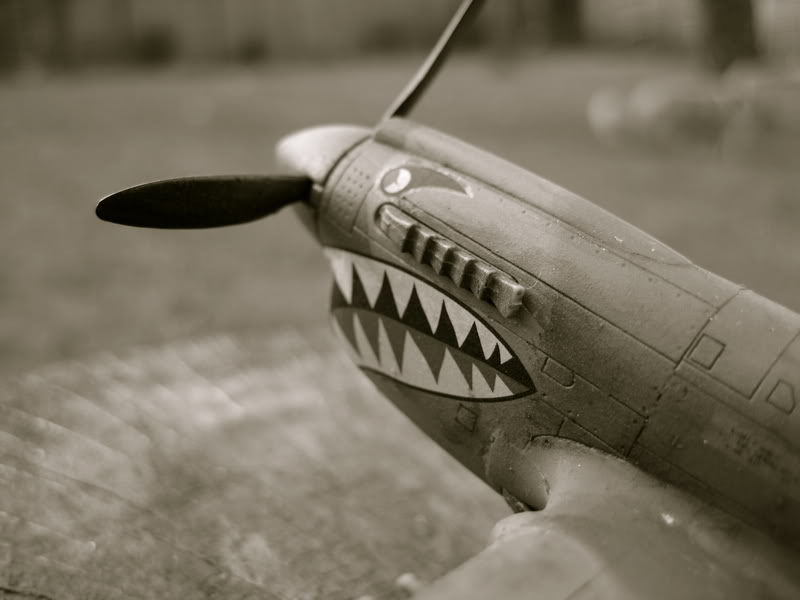 Curtiss P40M Warhawk [ACADEMY] 1/72 IMG_2358