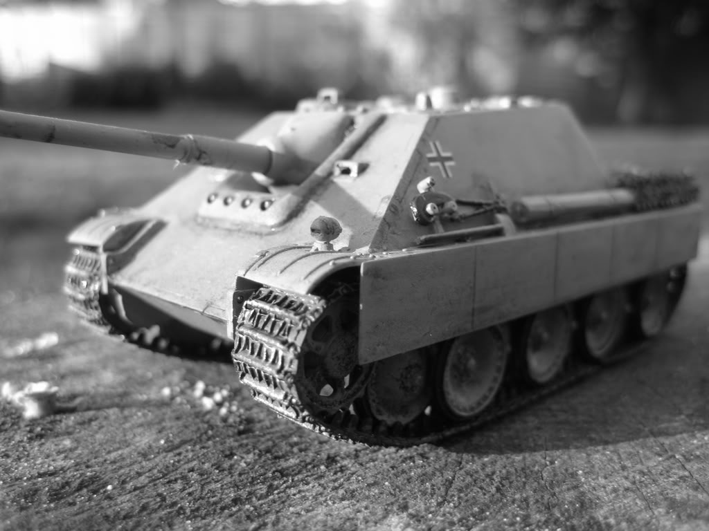 Jagdpanther! IMG_2585