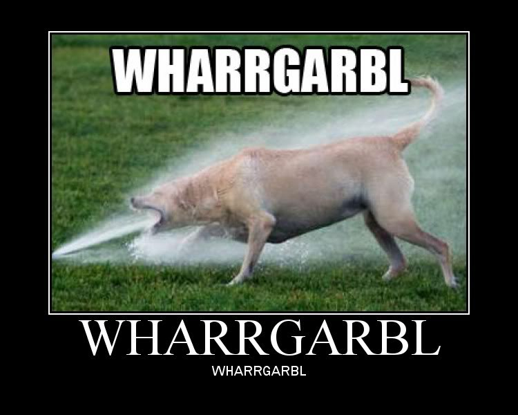 You Laugh, You Lose Wharrgarbl