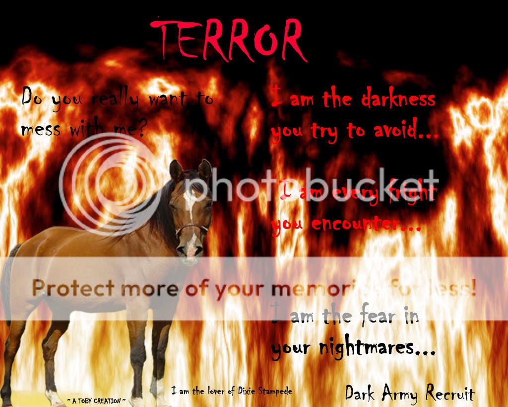 following kigers "Stuff i did" heres what I do  (LOTS OF PICS) Terror