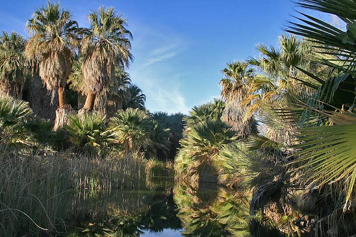 ~*~ Miraged Oasis ~*~ Desertoasiswaterpool3h