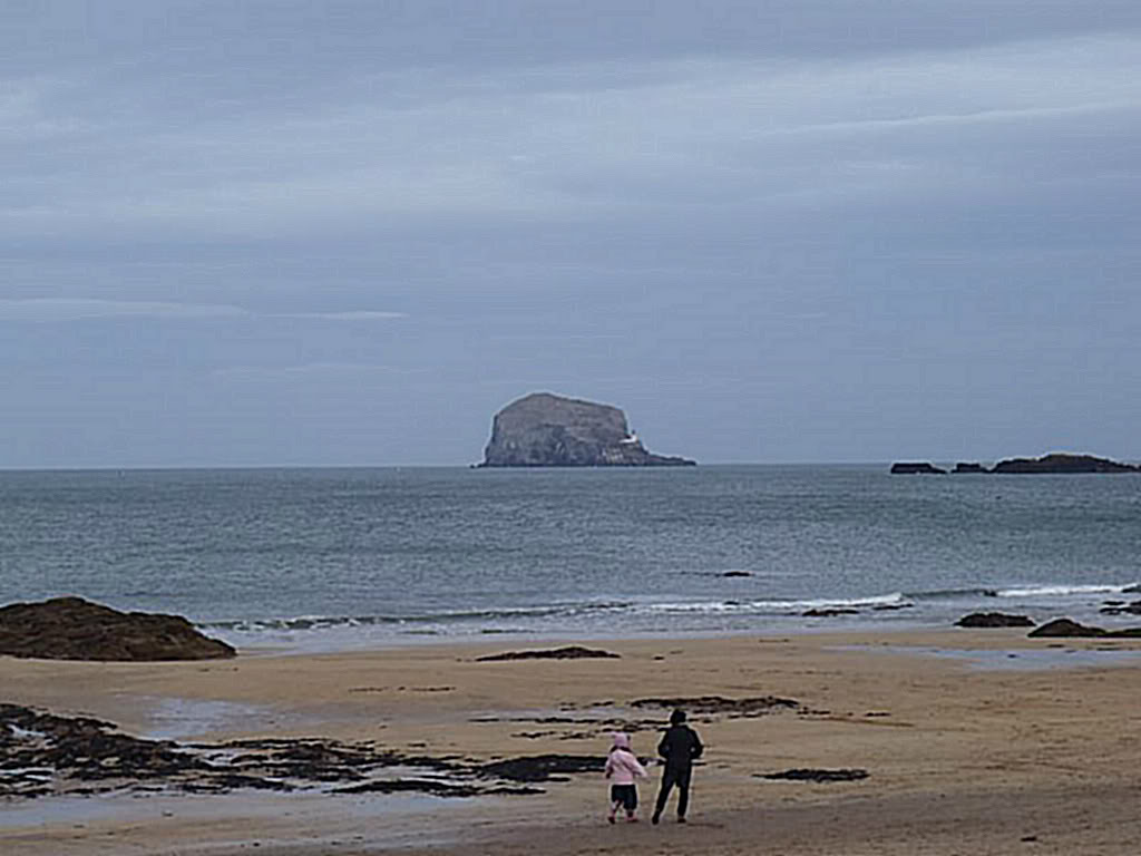 Bass Rock P2170250-1