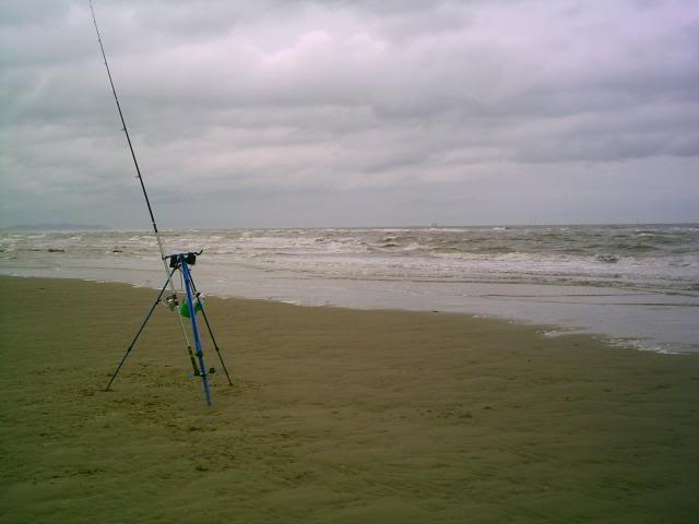 Elvers seen in Rhyl Amseacoal001