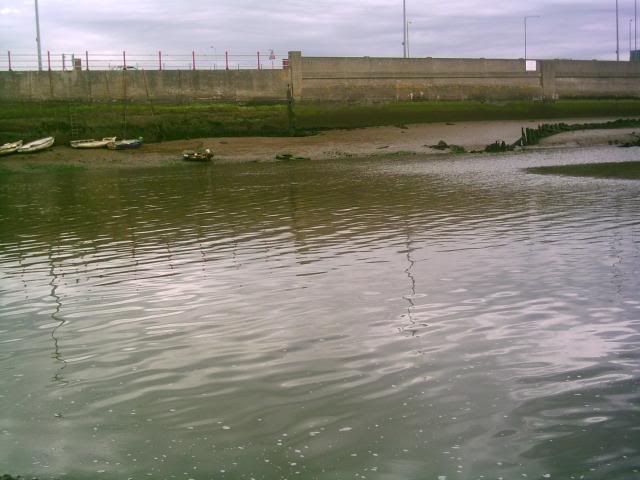 Rhyl Mullet can be caught! Anattemptatmullet007-1