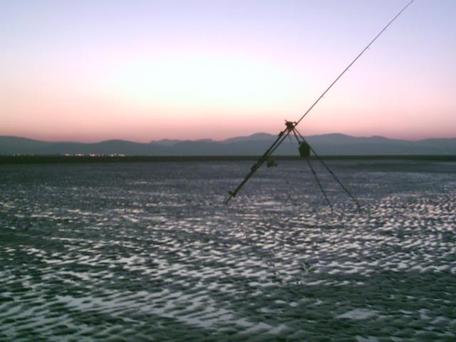 Rhyl  09.01.2009  'Bad Moon Rising Beach9109004