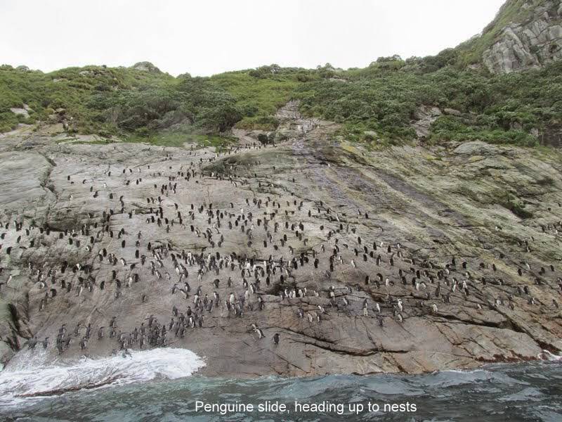 From Rhod Lloyd - The Southern Ocean Dfc8faebccb02f6d8d2a9ba1f5f16f46_zpsc013c94c