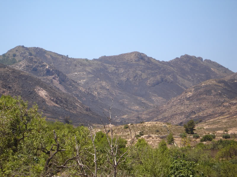 Incendio en los alrededores de Monte Roldán DSC07799