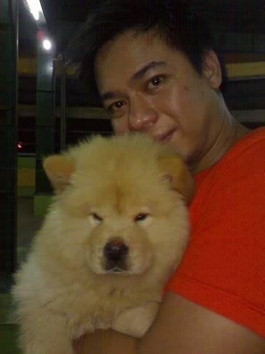 Chow Chow For Sale (Now accepting reservation) 05232008001