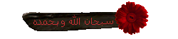 خمس بخمس D7