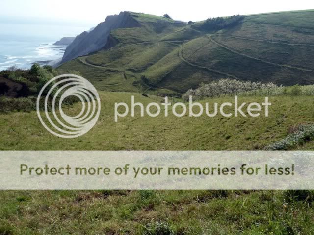 RUTA DEL FLYSCH (Zumaia tiene un tesoro) P1010201_