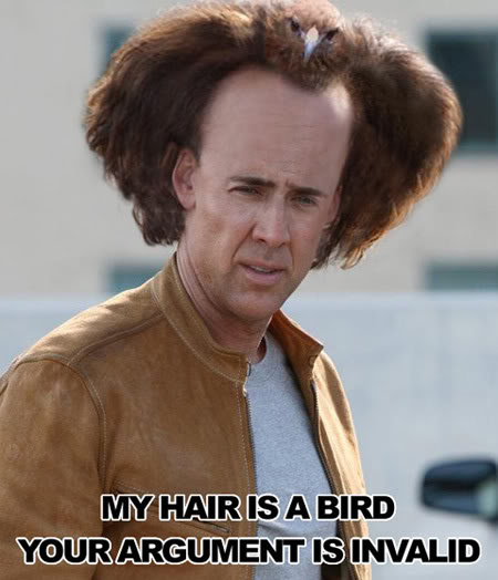 Nueva organizacion para el apoyo de la pelada y la cenilidad en los heroes de accion Nicolas-cage-hair-is-a-bird