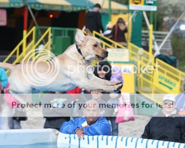 25th Annual Oyster Festival - NY (10/18 - 10/19) 14