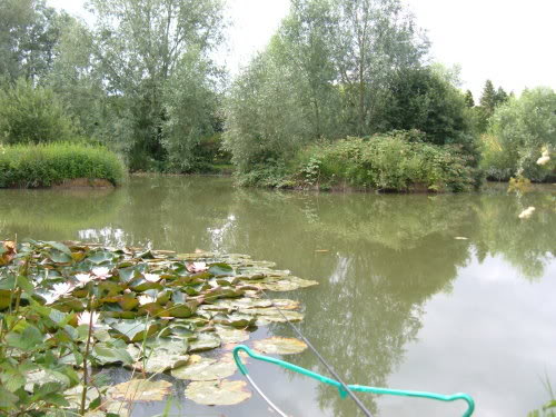 Local Pond Again Myswim