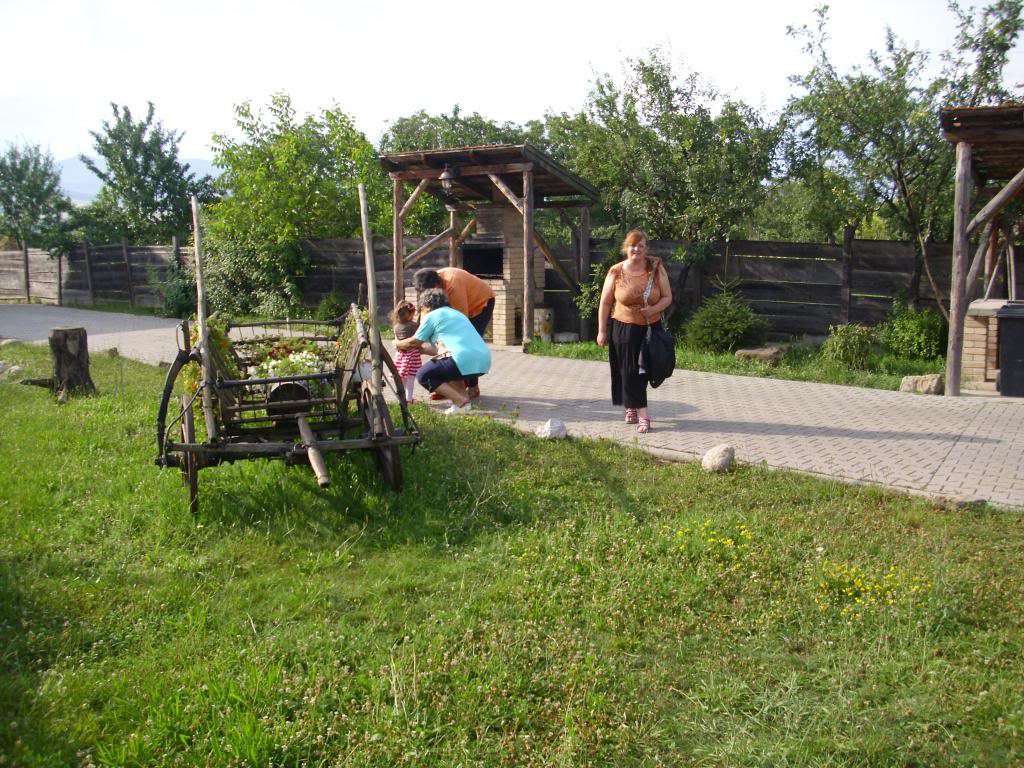 2014.Un an cu sot, numai bun de intilniri....fac strigare de intilneala laAlba Iulia. - Pagina 9 IMG_3268