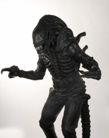 seance photo avec mon costume d'Alien 004640x480