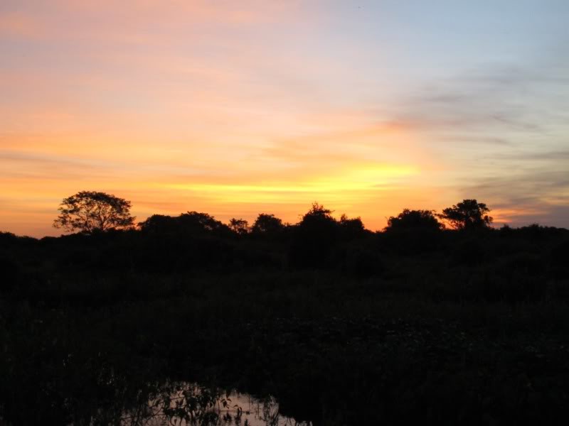 Rodovia Transpantaneira - Pantanal - Brasil Pordosol