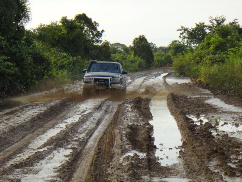 Rodovia Transpantaneira - Pantanal - Brasil Ranger2