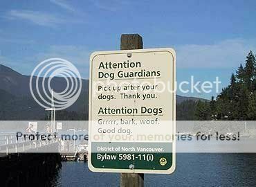 Funny Images Dogsign