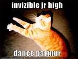 Funny Cats :D ('lolzcatz') Thfunny-pictures-orange-cat-invisib