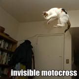 Funny Cats :D ('lolzcatz') Thinvisible-motocross_resized