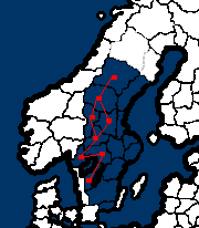 Prêt-à-Porter Tulius