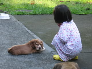 Rocklore's Cocker Spaniel IMG_0297