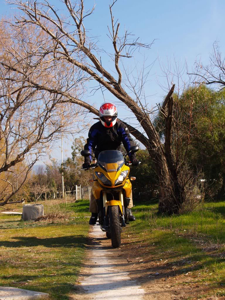 TRIUMPH TIGER 1050 Tiger5