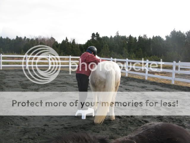 PONYING LESSON #1 MountingAttempt5