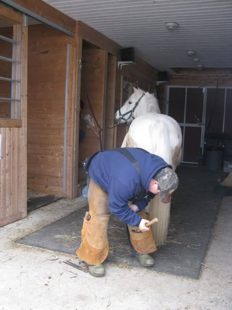 PEETREE STABLES ACTIVITIES IMG_2401