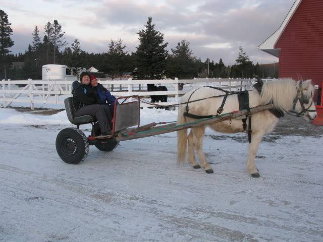 PEETREE STABLES ACTIVITIES IMG_2448