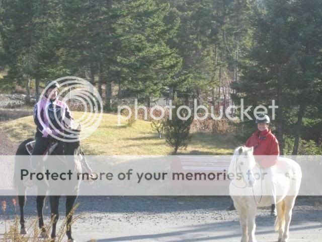 GREAT DAY AT PEETREE STABLES! November2009006