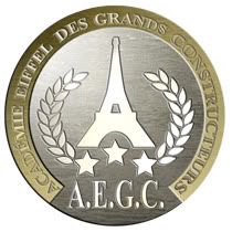 AEGC : Concours du logo Eiffel - Page 4 AEGC_medaille_argent