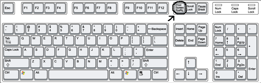 The complete guide to taking pictures on Club Penguin Keyboard4