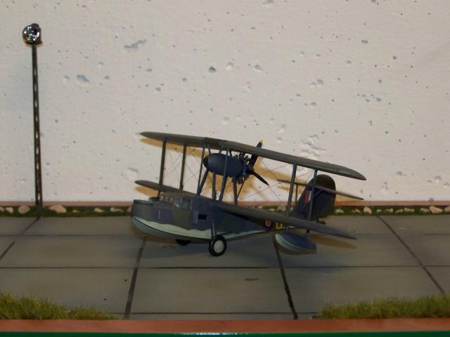 Die Supermarine Walrus 100_3244_zps9b80faf7