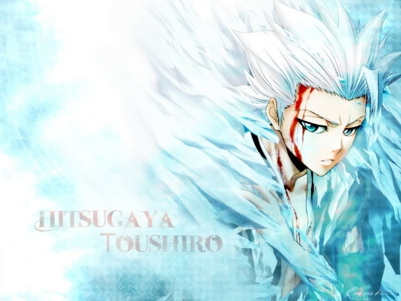 Fc. Hitsugaya Tôshirô. 800-by-600-643551-20090802091015