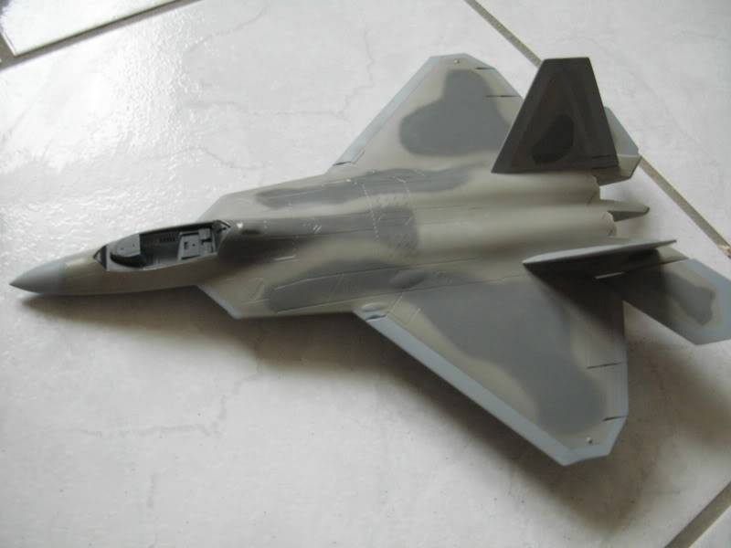 F22 Raptor [Revell] 1/72 Camo2