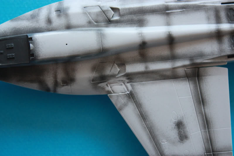 FA-18 E Super Hornet  [Italeri] 1/72 - Page 2 IMG_3277