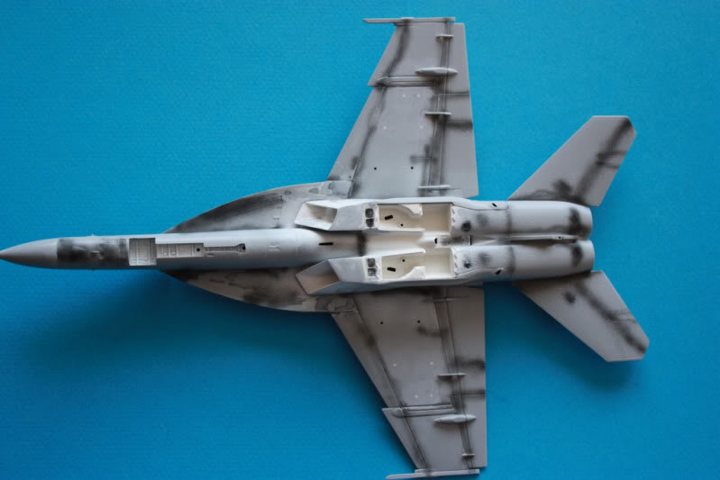 FA-18 E Super Hornet  [Italeri] 1/72 - Page 2 IMG_3279