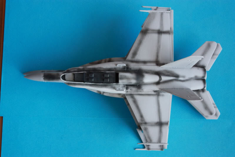 FA-18 E Super Hornet  [Italeri] 1/72 - Page 2 IMG_3281