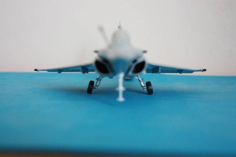 [CONCOURS TIGER'S MEET] AMD Rafale B  [HobbyBoss] 1/72 - Page 3 IMG_2856