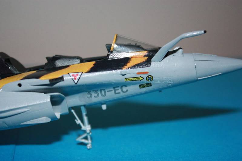 [CONCOURS TIGER'S MEET] AMD Rafale B  [HobbyBoss] 1/72 - Page 3 IMG_2870