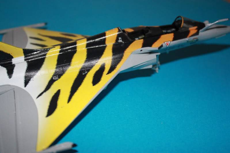 [CONCOURS TIGER'S MEET] AMD Rafale B  [HobbyBoss] 1/72 - Page 3 IMG_2871