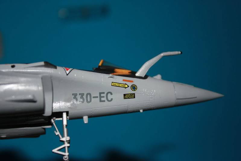 [CONCOURS TIGER'S MEET] AMD Rafale B  [HobbyBoss] 1/72 - Page 3 IMG_2887