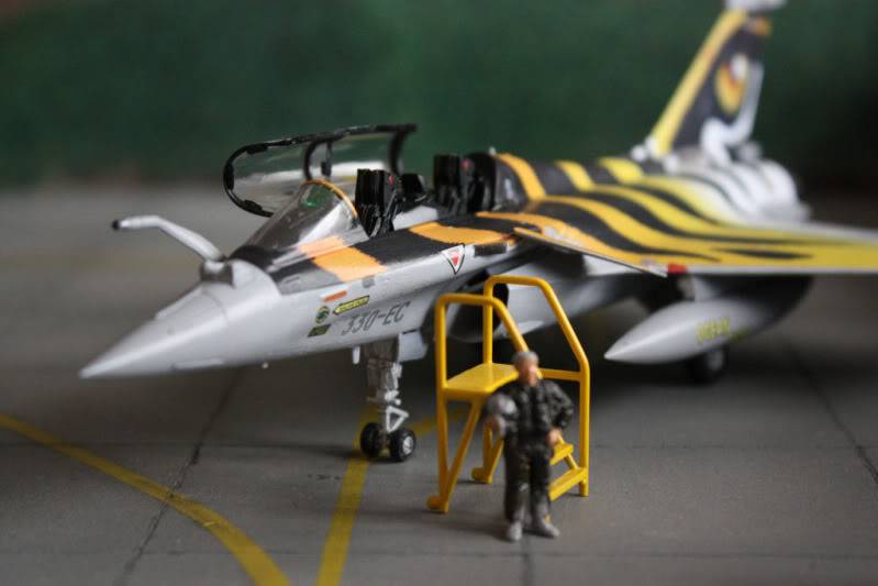 [CONCOURS TIGER'S MEET] AMD Rafale B  [HobbyBoss] 1/72 - Page 3 IMG_2901