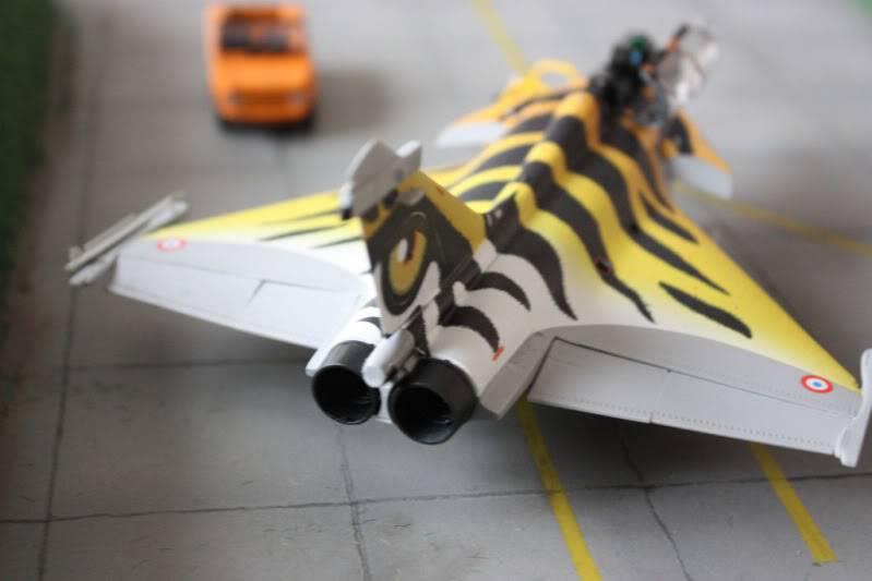 [CONCOURS TIGER'S MEET] AMD Rafale B  [HobbyBoss] 1/72 - Page 3 IMG_2905