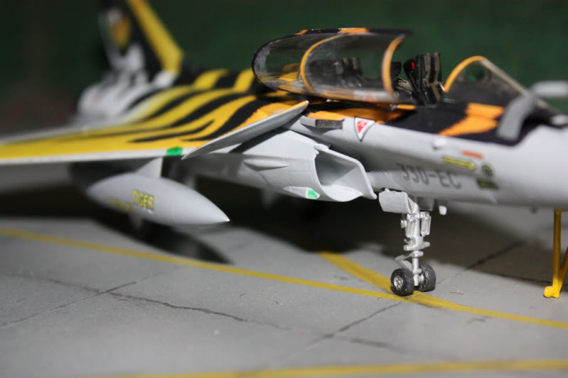 [CONCOURS TIGER'S MEET] AMD Rafale B  [HobbyBoss] 1/72 - Page 3 IMG_2909