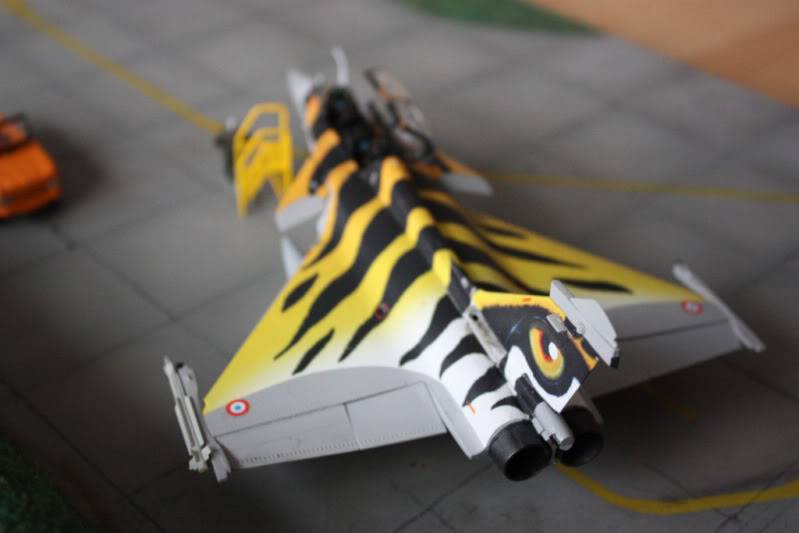 [CONCOURS TIGER'S MEET] AMD Rafale B  [HobbyBoss] 1/72 - Page 3 IMG_2919