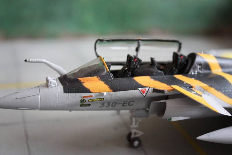 [CONCOURS TIGER'S MEET] AMD Rafale B  [HobbyBoss] 1/72 - Page 3 IMG_2922