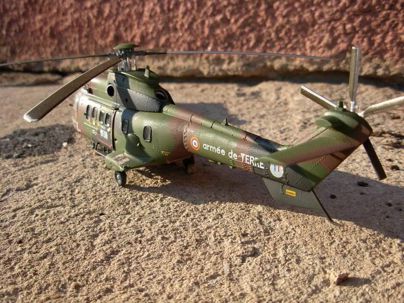 [CONCOURS HELICO] AS 532 Cougar ALAT - Revell - 1/72   :   28.12.08    Montage fini . - Page 6 Fini5